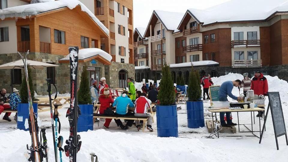 Panorama Apartments New Gudauri Exteriér fotografie
